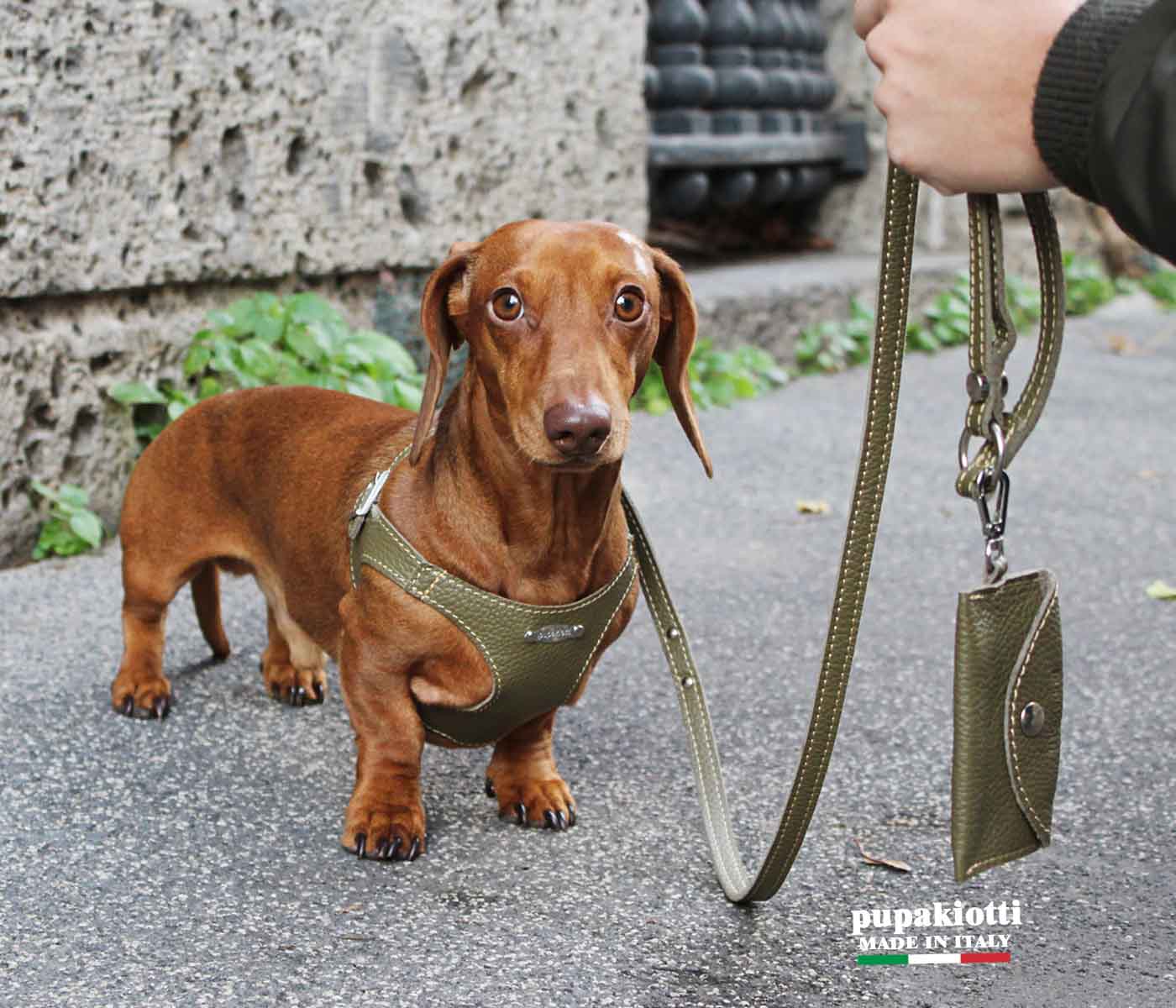 Basic. Pettorina ergonomica e regolabile in pelle  per cani