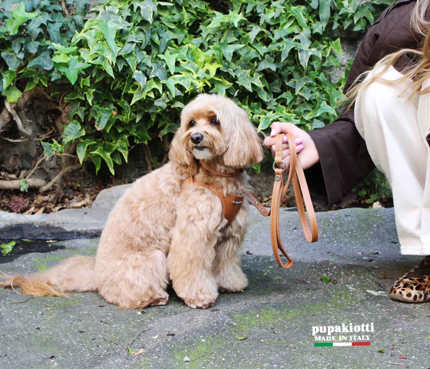 Basic. Ergonomic and adjustable leather harness for dogs