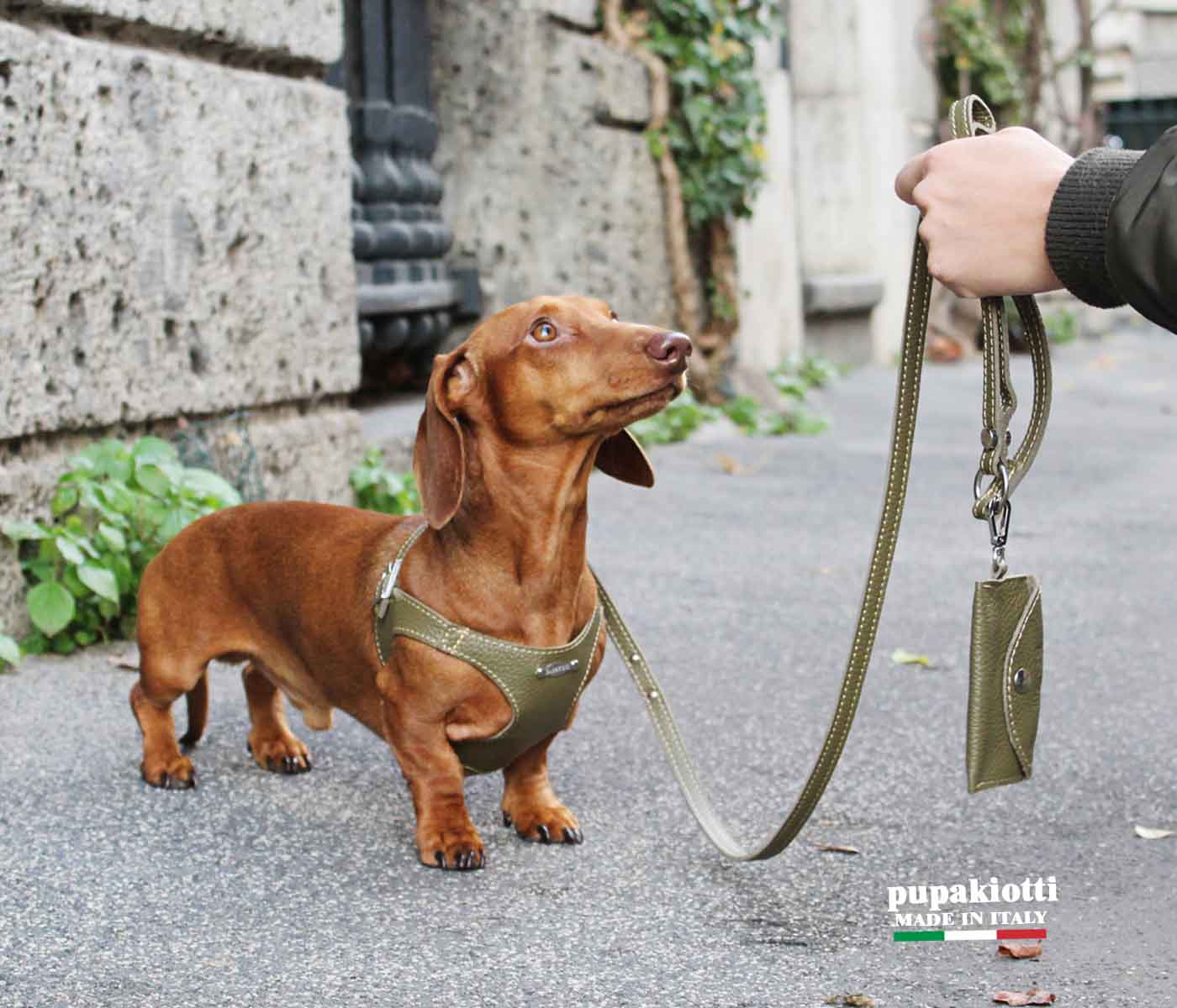 Basic. Set 3 pezzi. Pettorina e guinzaglio con porta sacchetti in pelle per cane